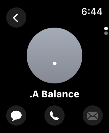 Apple Watch screenshot of the contact screen