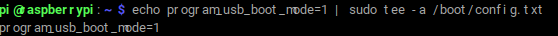 Enabling USB boot flag in Raspberry Pi