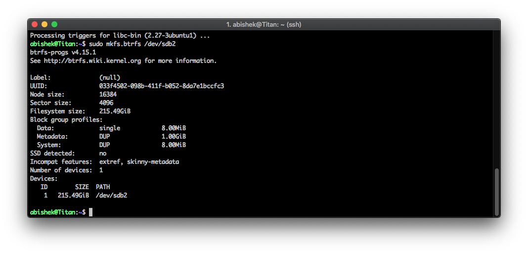 Format in Btrfs